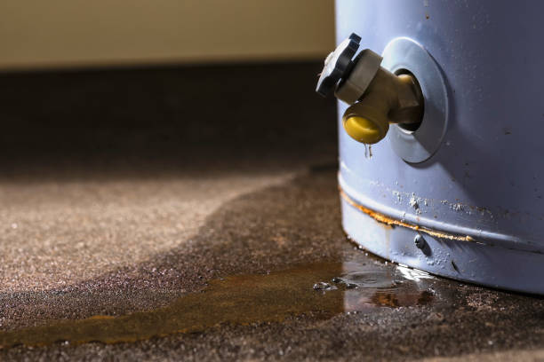 Best Ceiling water damage repair  in Lindale, GA