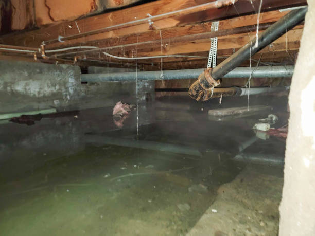 Best Flooded house restoration  in Lindale, GA