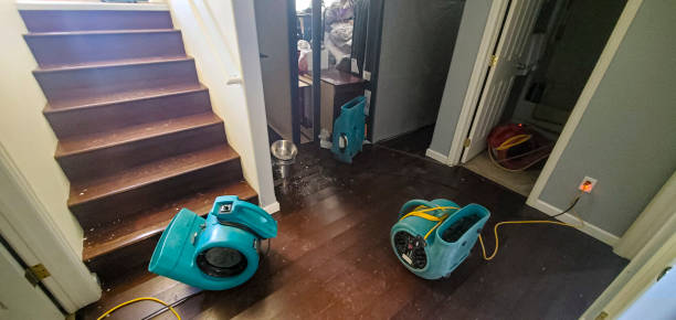 Best Residential water damage restoration  in Lindale, GA