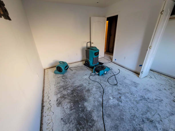 Best Mold removal after water damage  in Lindale, GA