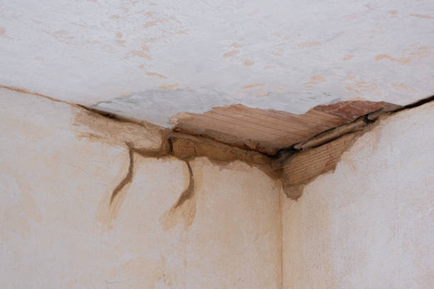 Best Flooded house restoration  in Lindale, GA