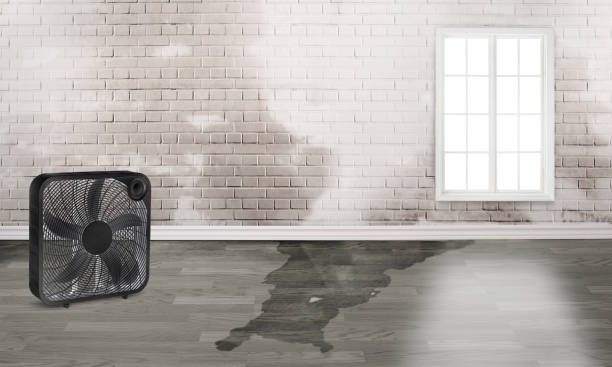 Best Flood damage cleanup  in Lindale, GA